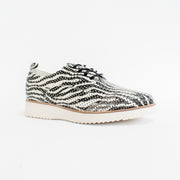 Gelato Alumni Zebra Print Shoes front. Size 43 womens shoes